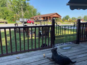 View from a porch toward a large pavilion/building and resort grounds with decorative landscaping and RVs — illustrates guest facilities and the campground atmosphere (sourced from homepage/accommodations images).