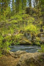 LOWER CANYON CREEK CAMPGROUND