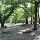 Central Group Campground  showing picnic table and trees and open space.