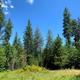 Campspot slideshow image 3