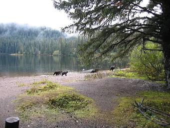 Kook Lake Cabin8