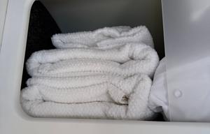 The Wild Wild Nest
