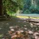 Swimming and picnic area