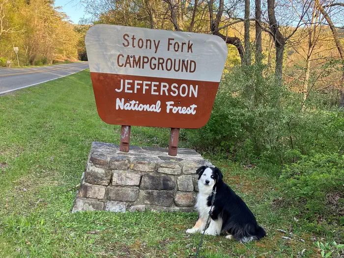 Stony Fork Campground
