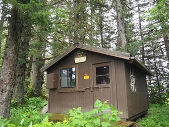 Gut Island Cabin 2 brown cabin surrounded by trees