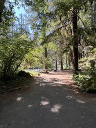 Breitenbush Campground