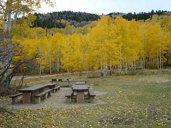 Buckboard