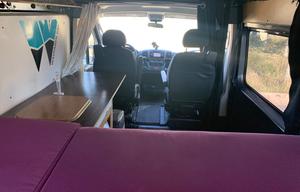 The Mystery Machine 3000 Ram Promaster Camper Van