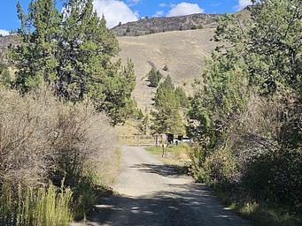 Campground loop road