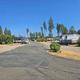 Driveway/road through the RV parking area with multiple RVs and pull-through spaces — shows site configuration and pavement condition (from the property gallery).