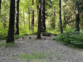 Campground site in trees