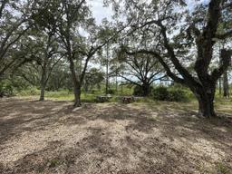 Hal Scott Regional Preserve and Park Site 3 Hike-In SJRWMD