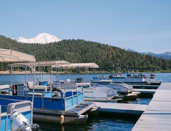 Close view of pontoons and the marina with Mount Shasta in the background — demonstrates rental boats and marina facilities available at the resort (from Rentals & Moorings page).