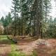 Cascadia County Park