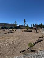 Cedar Lodge Motel & RV Park