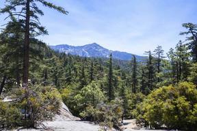 Thousand Trails Idyllwild