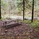 Day-Use picnic table
