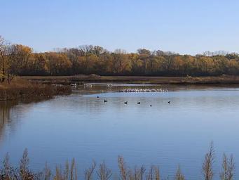 BOB SHETLER RECREATION AREA 1