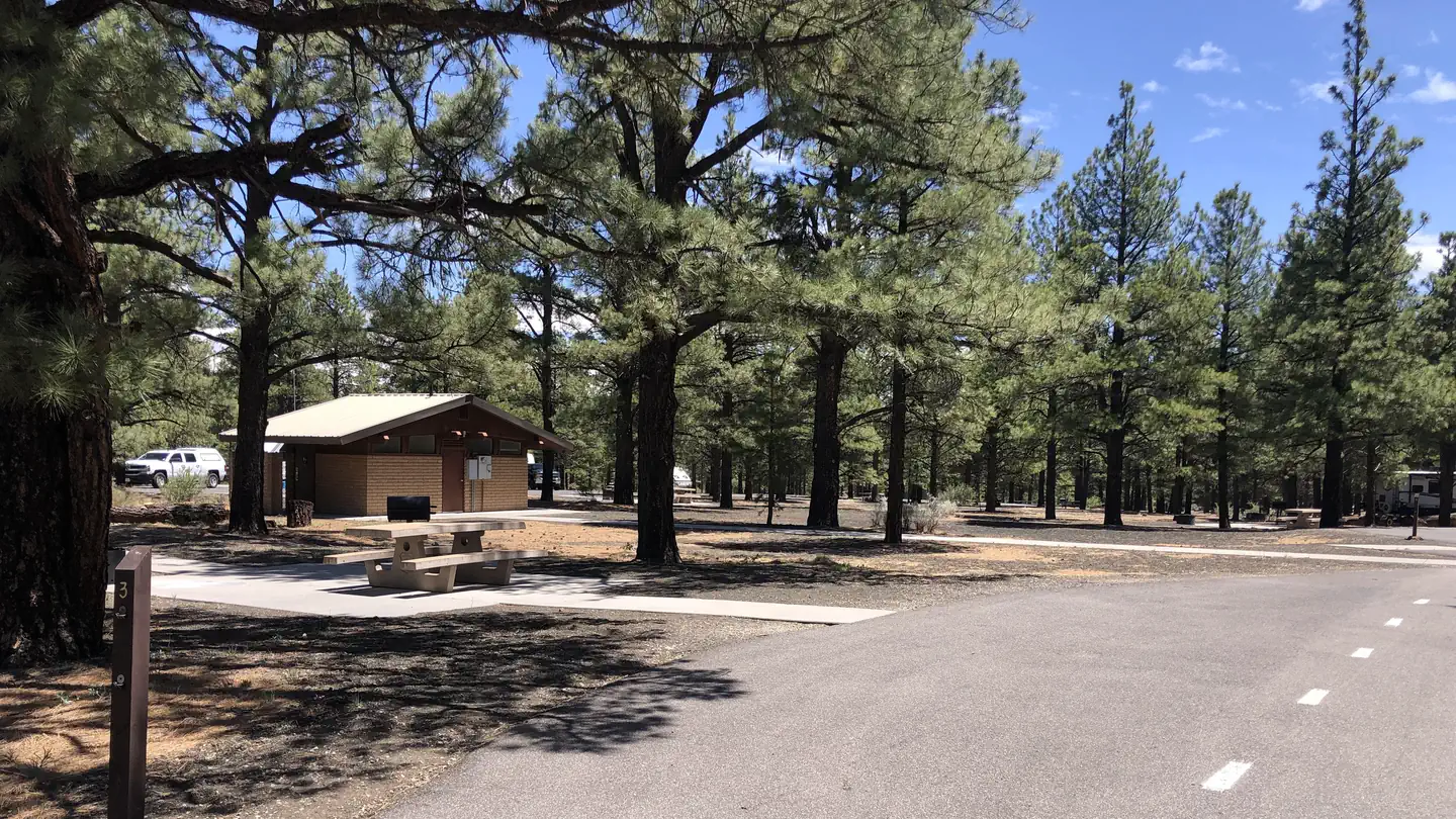 Bonito Campground (AZ)