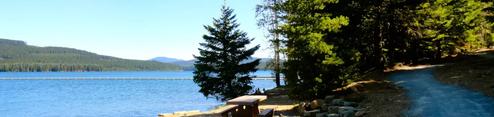 Pine Point