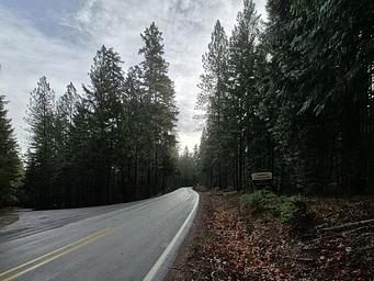 Threehorn Campground main road