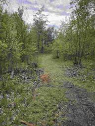 Campspot slideshow image 2