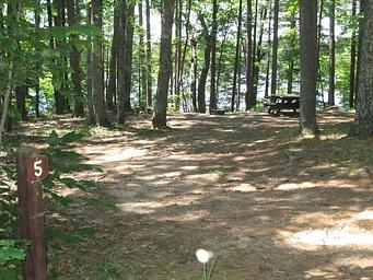 LITTLE BASS LAKE CAMPSITE 5