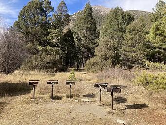 Group of cooking grills with trees and mountain in background