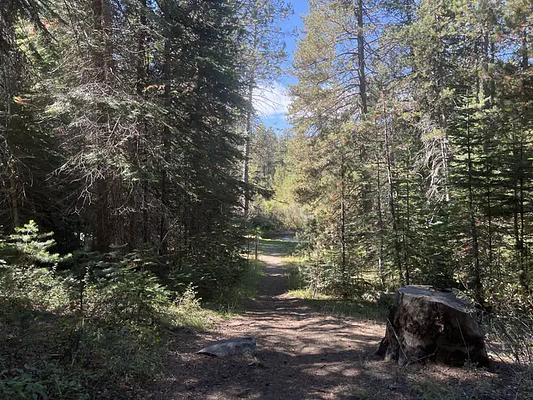 1, Loop: AREA SILVER CREEK GROUP CAMPGROUND