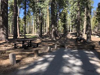 A photo of facility DINKEY CREEK with Picnic Table, Fire Pit