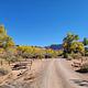 A picnic table and the campground road lined with Cottonwood trees.