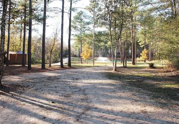 Wide pathway/grounds view looking toward the pond and fountain framed by tall pines — a good overall property/landscape shot from the site's gallery (IMG_8921).
