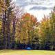Open grassy area with a small blue tent and mature trees in fall colors — useful to show tent camping spaces and atmosphere on the campground (IMG_5816 in the gallery).