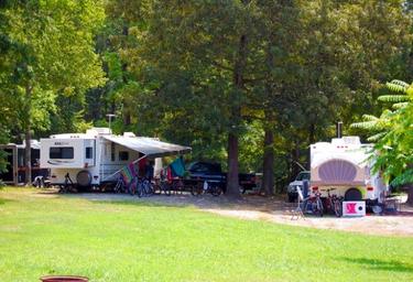 RV campsite row with multiple RVs and shaded grassy areas — shows typical RV pitches and campsite layout on the property.