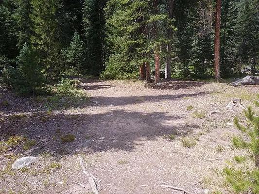 GS1, Loop: SOUTH FORK GROUP