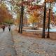 Seven Points- Senoia Camp waterfront in the fall