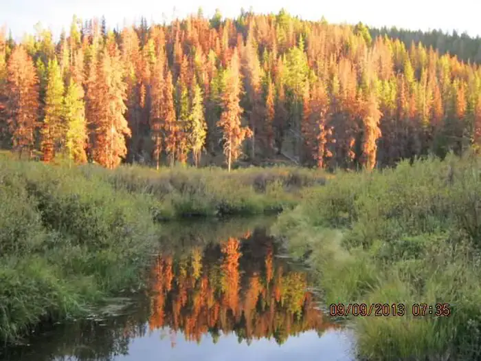 May Creek Cabin