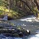 Image of Hat Creek surrounded by trees.
