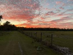 Cowbird Campground