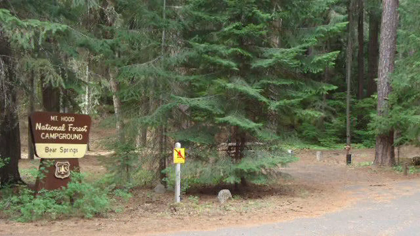 Bear Springs Campground