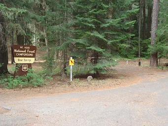 Bear Springs