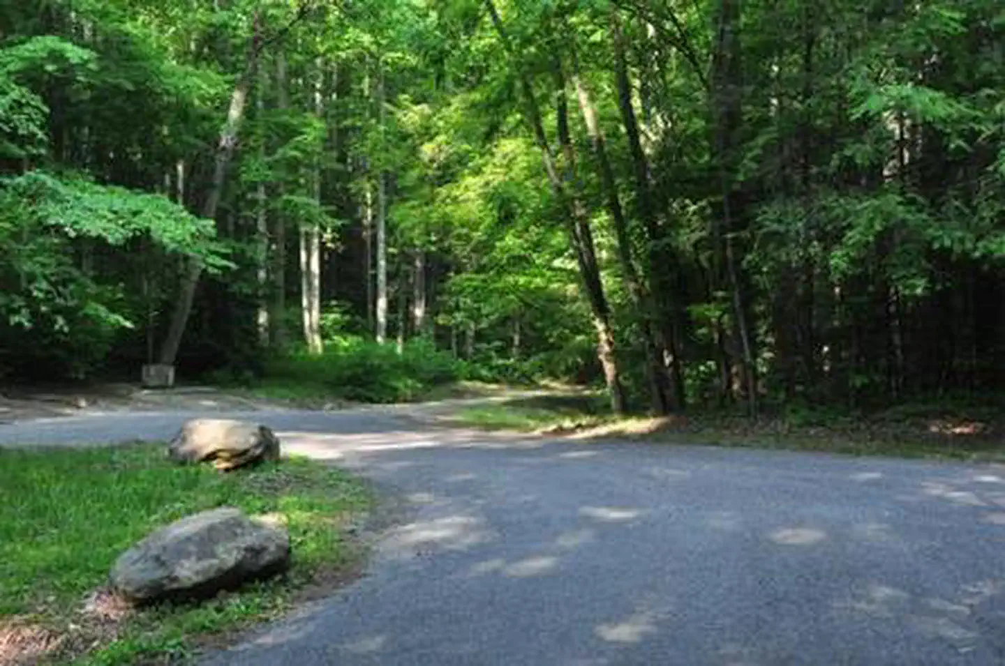 Elkmont Group Camp