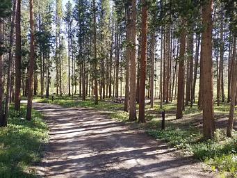 Pelton Creek Campground