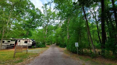 Butterfly Camping Resort