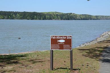 Galt's Ferry Day Use - Fishing
