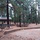 GROOM CREEK HORSE CAMP group shelter with 5 large table and 2 barbecues is the rear on the left side