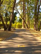 Schroeder Park
