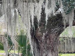 Bayou Black RV Park