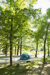 A tent is sitting in the middle of a forest surrounded by trees.