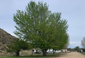 Sunny Ridge RV Park